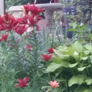 Meet your Posher, Lorna